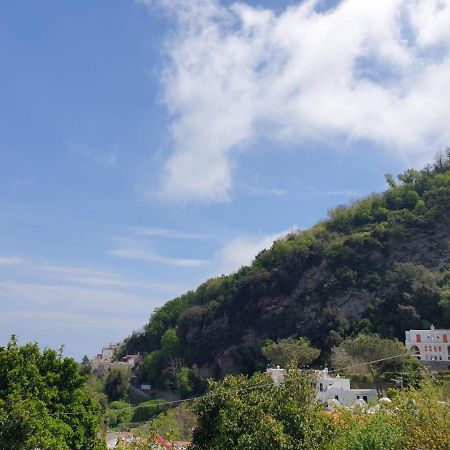 Sweet Home La Chicca Ischia Zewnętrze zdjęcie