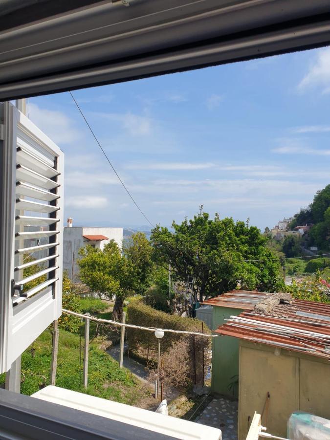 Sweet Home La Chicca Ischia Zewnętrze zdjęcie