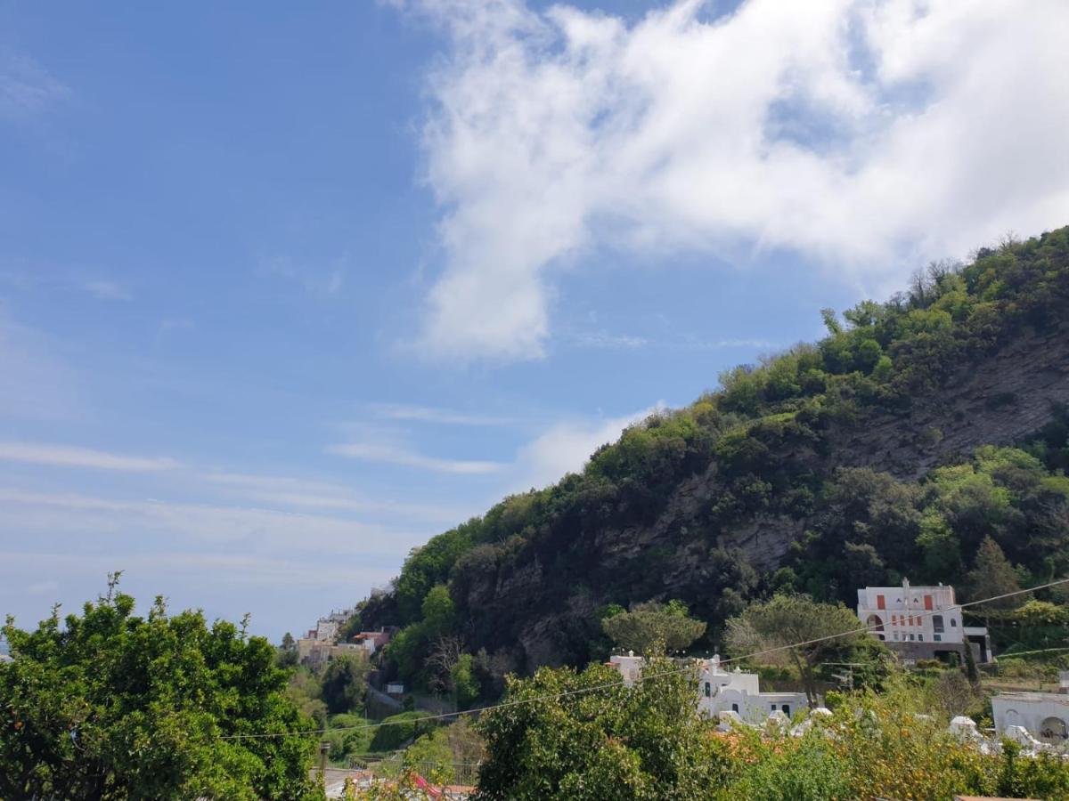 Sweet Home La Chicca Ischia Zewnętrze zdjęcie