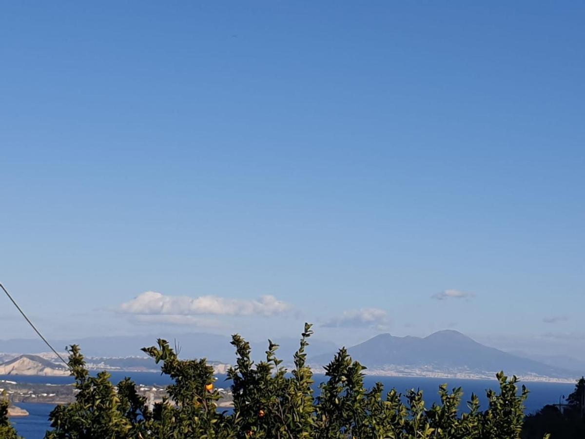 Sweet Home La Chicca Ischia Zewnętrze zdjęcie
